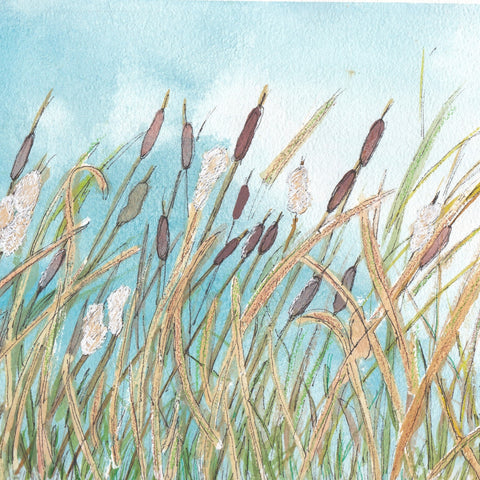 Cattails and Seedpods
